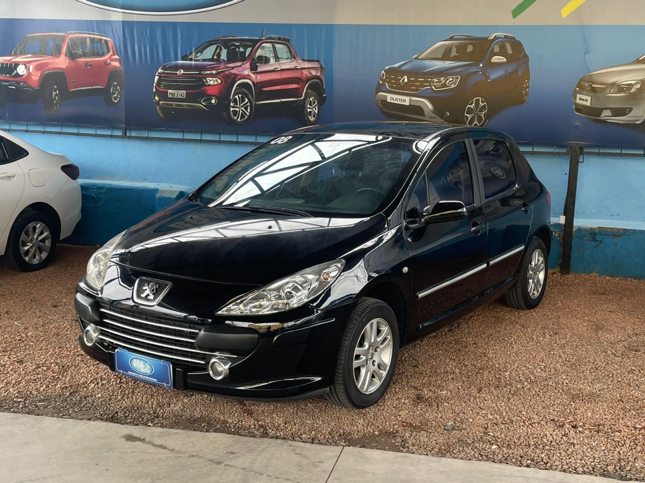 307 Sed. Feline 2.0/2.0 Flex 16V 4p Mec.