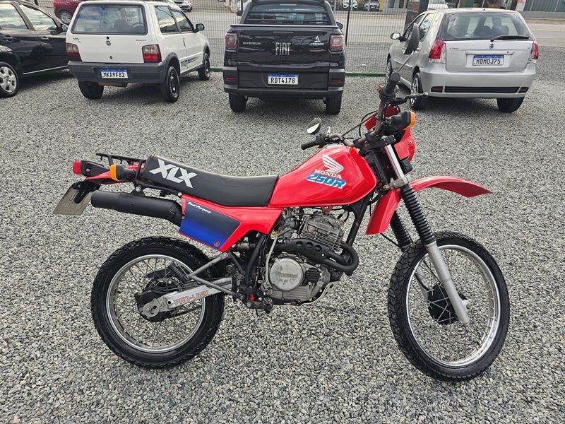 XLX 250 R