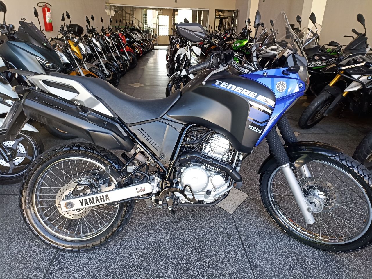 XTZ 250 TENERE/TENERE BLUEFLEX
