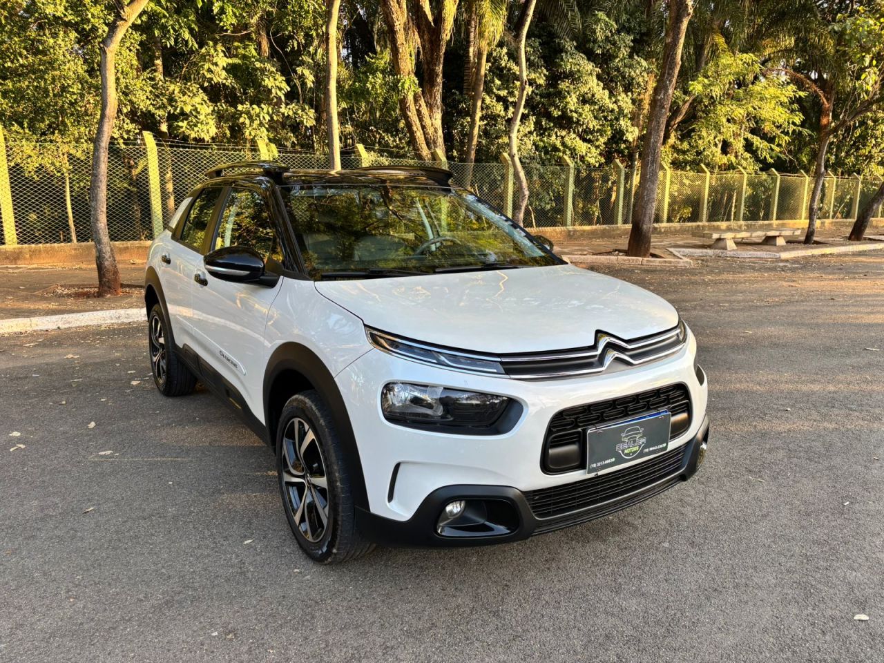 C4 CACTUS SHINE Pack 1.6 Turbo Flex Aut.