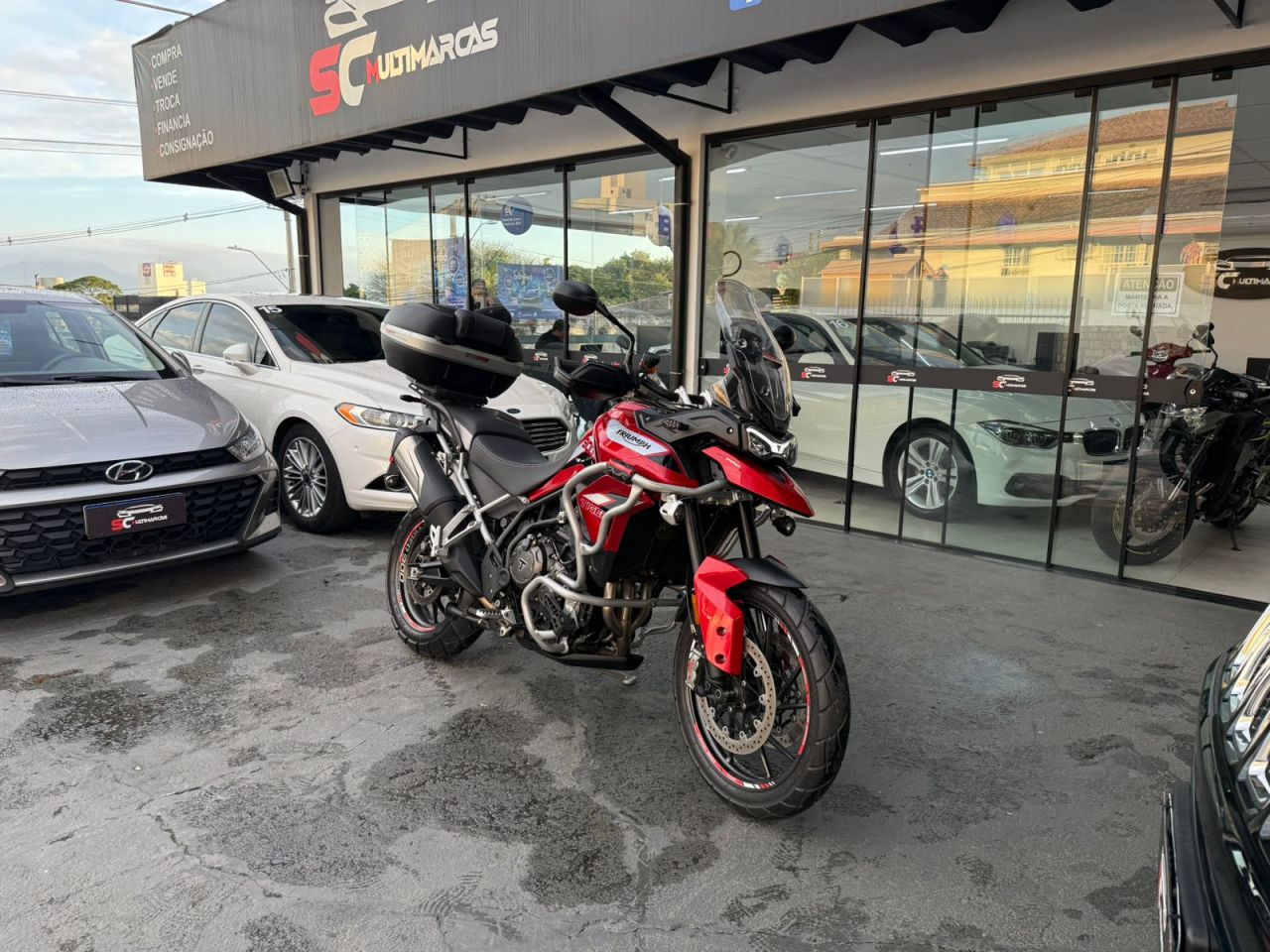 TIGER 900 GT PRO
