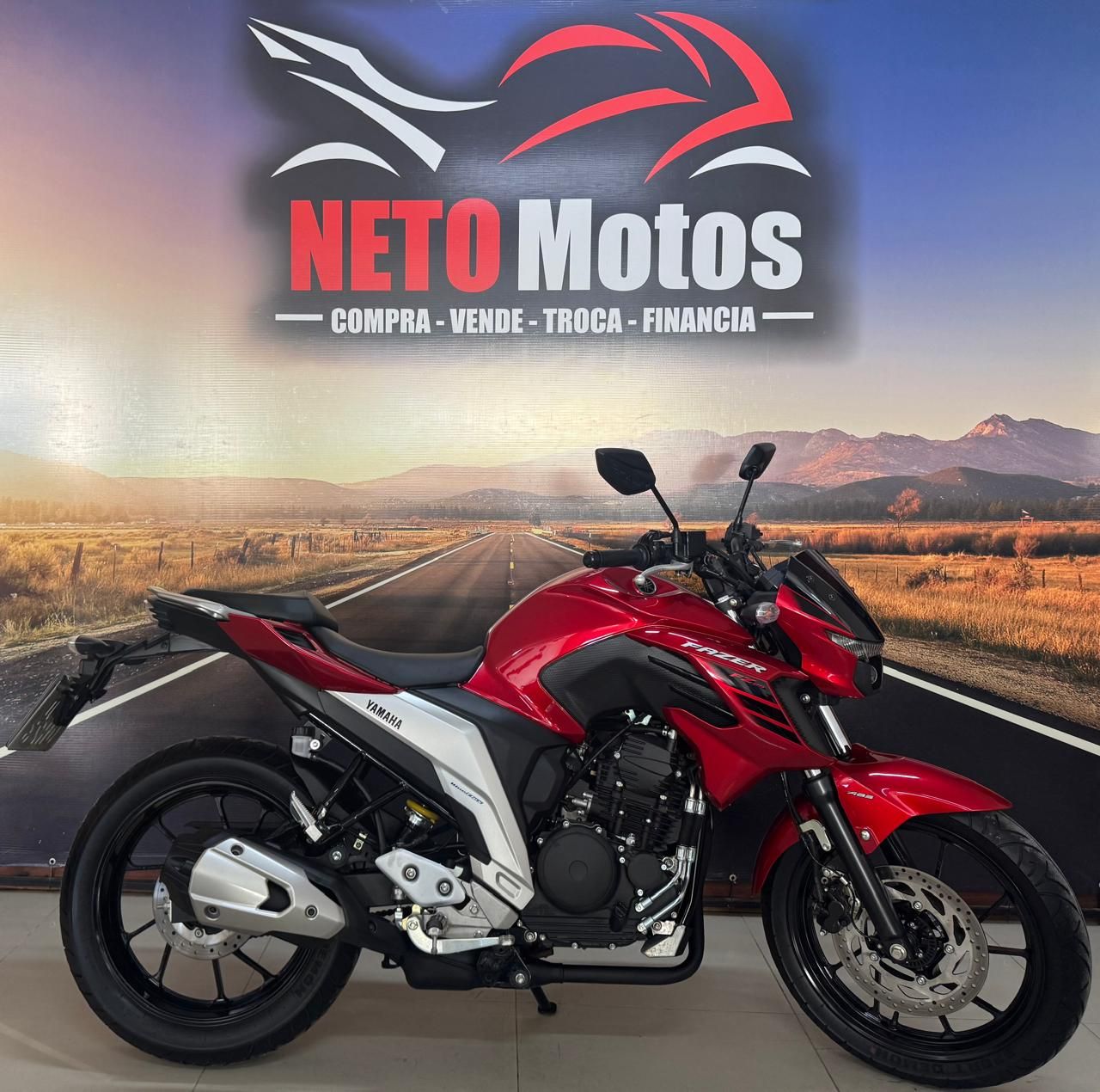 FZ25 250 FAZER FLEX