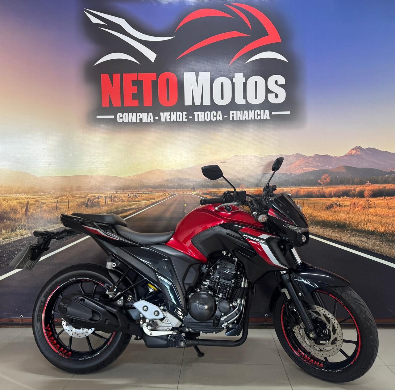 FZ25 FAZER