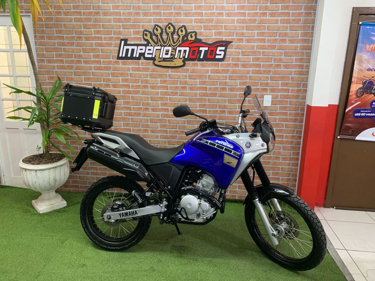 XTZ 250 TENERE/TENERE BLUEFLEX