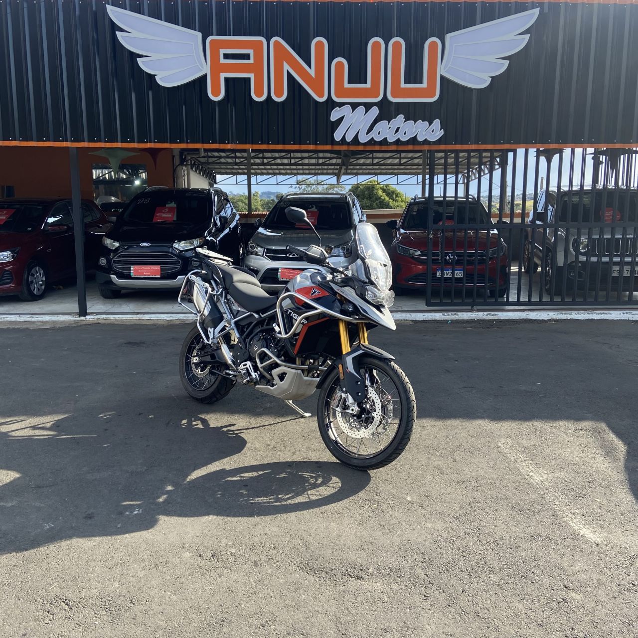 TIGER 900 RALLY PRO
