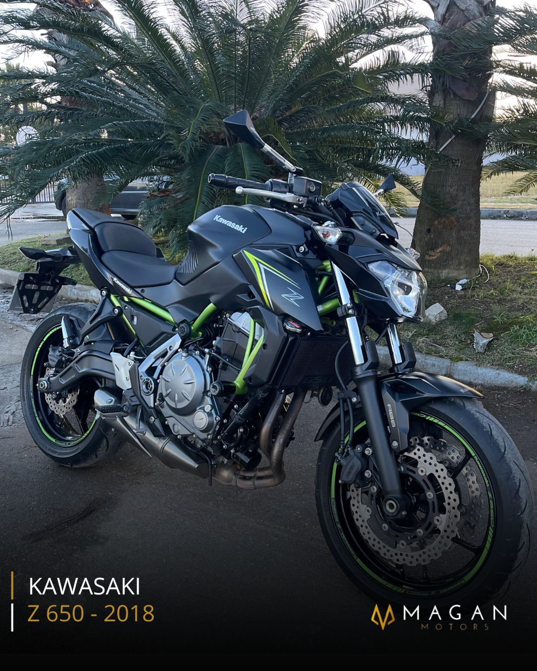 Z 650