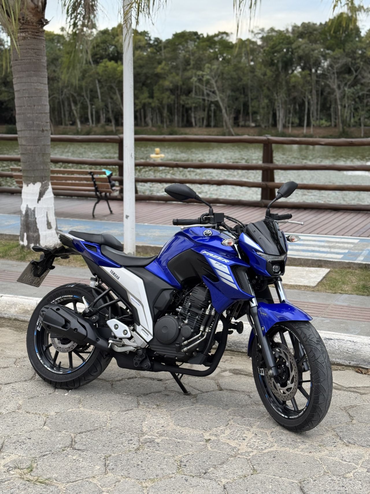 FZ25 250 FAZER FLEX