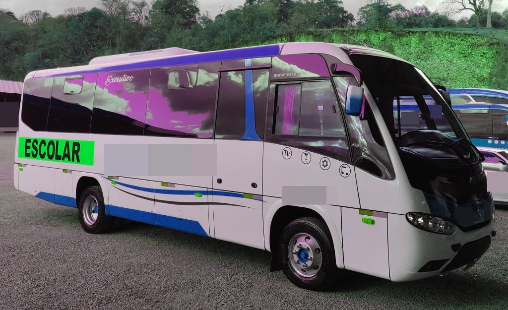 MARCOPOLO SENIOR ANO 2013 CUMMINS JM COD.493