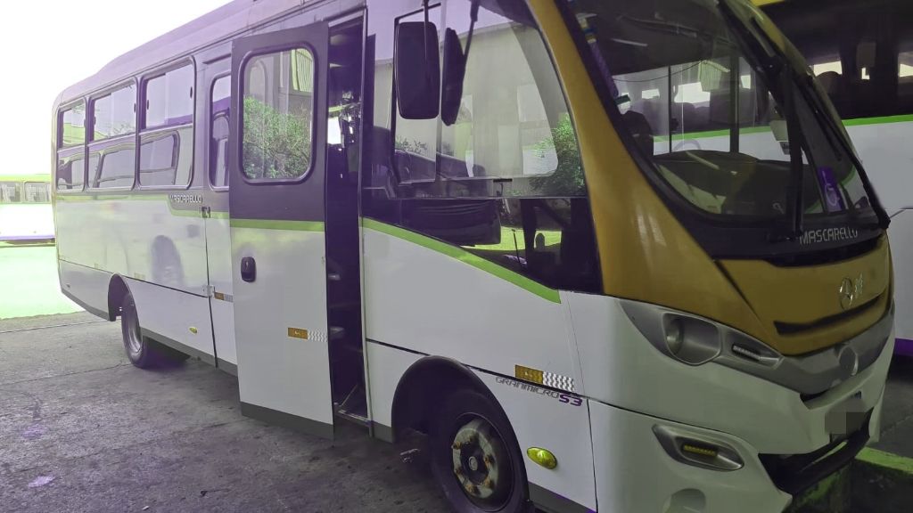 MASCARELLO S23 ANO 2022 MB LO 916 JM COD.1331