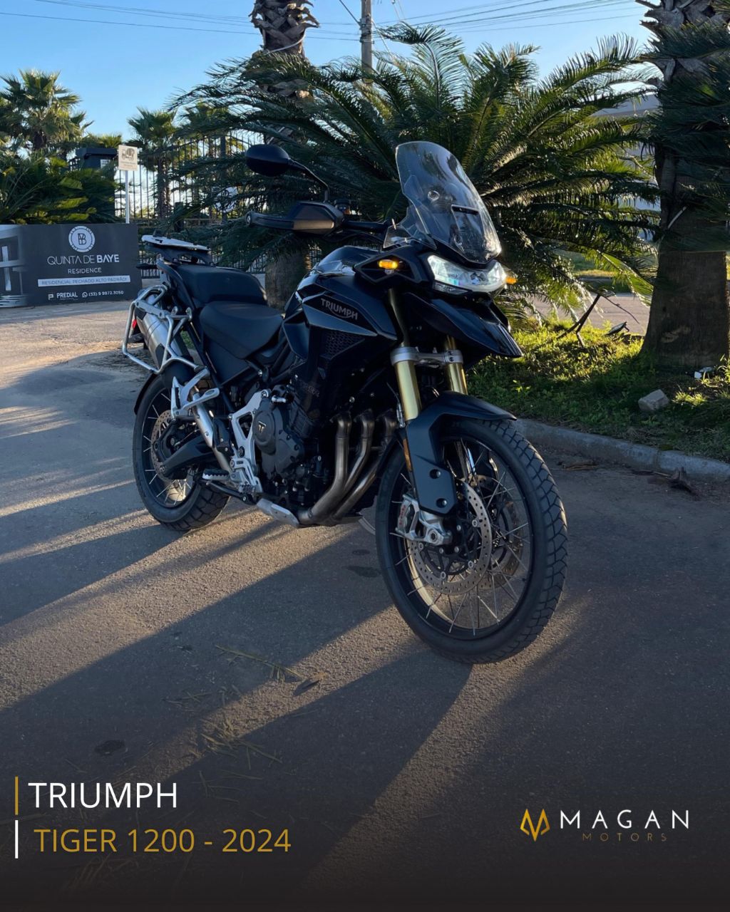 TIGER 1200 RALLY BLACK Edition