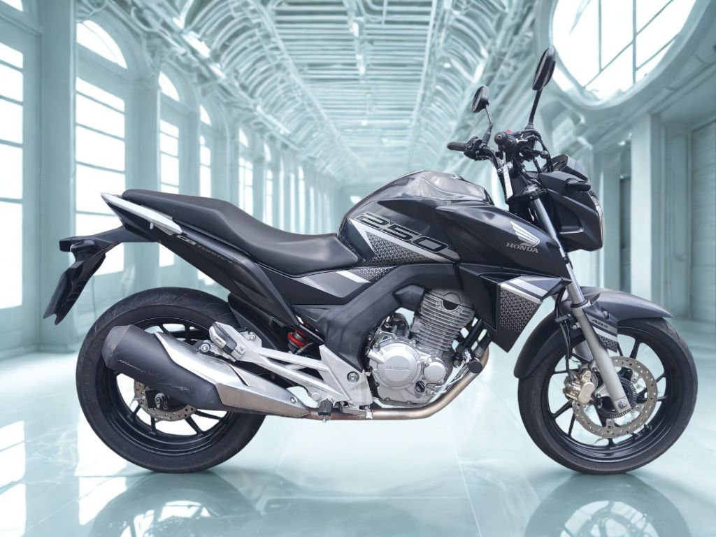 CB 250 TWISTER/FLEXONE