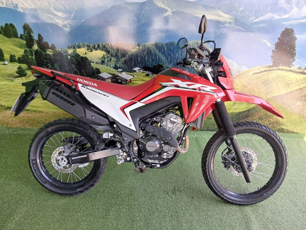 XR 300L TORNADO FLEX