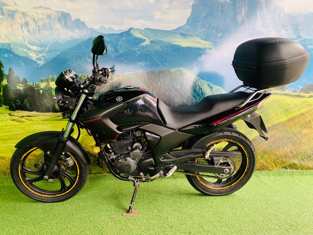 YS 250 FAZER/ FAZER L. EDITION /BLUEFLEX