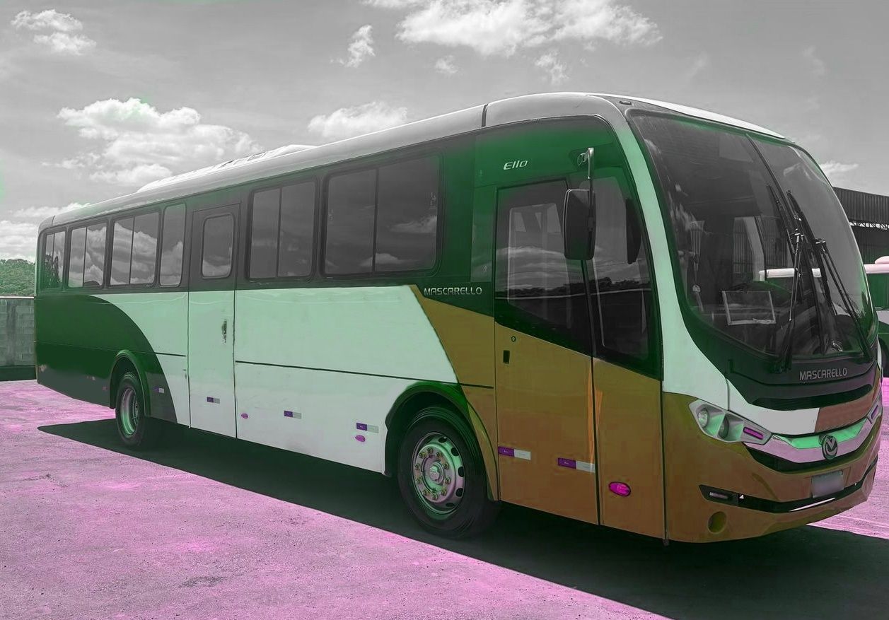 MASCARELLO ELLO ANO 2020 VW 17.230 JM COD.1425