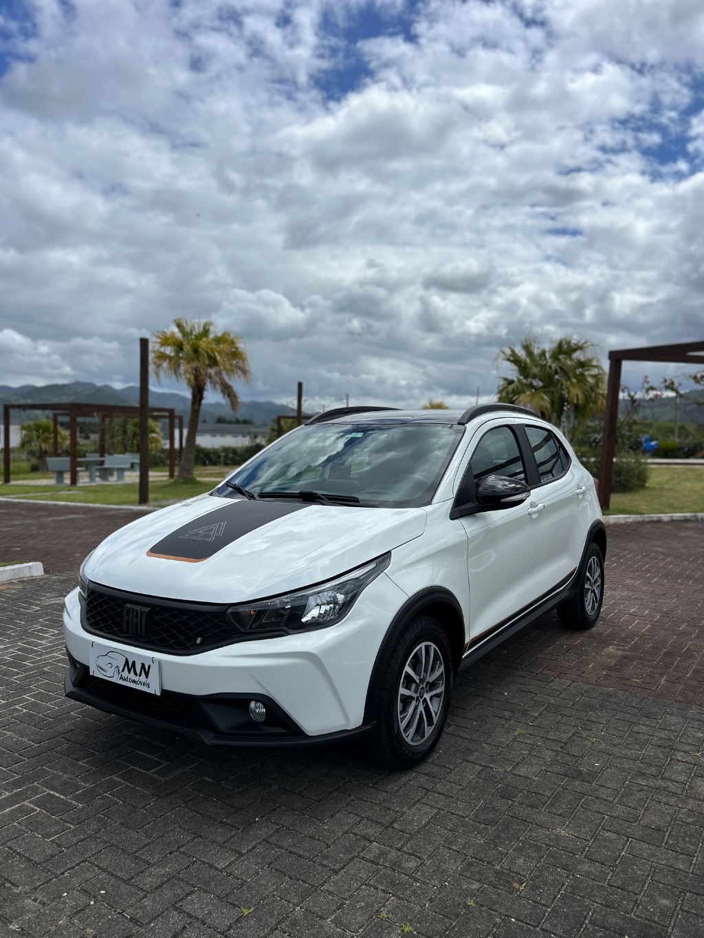 Fiat ARGO TREKKING 1.3 8V Flex