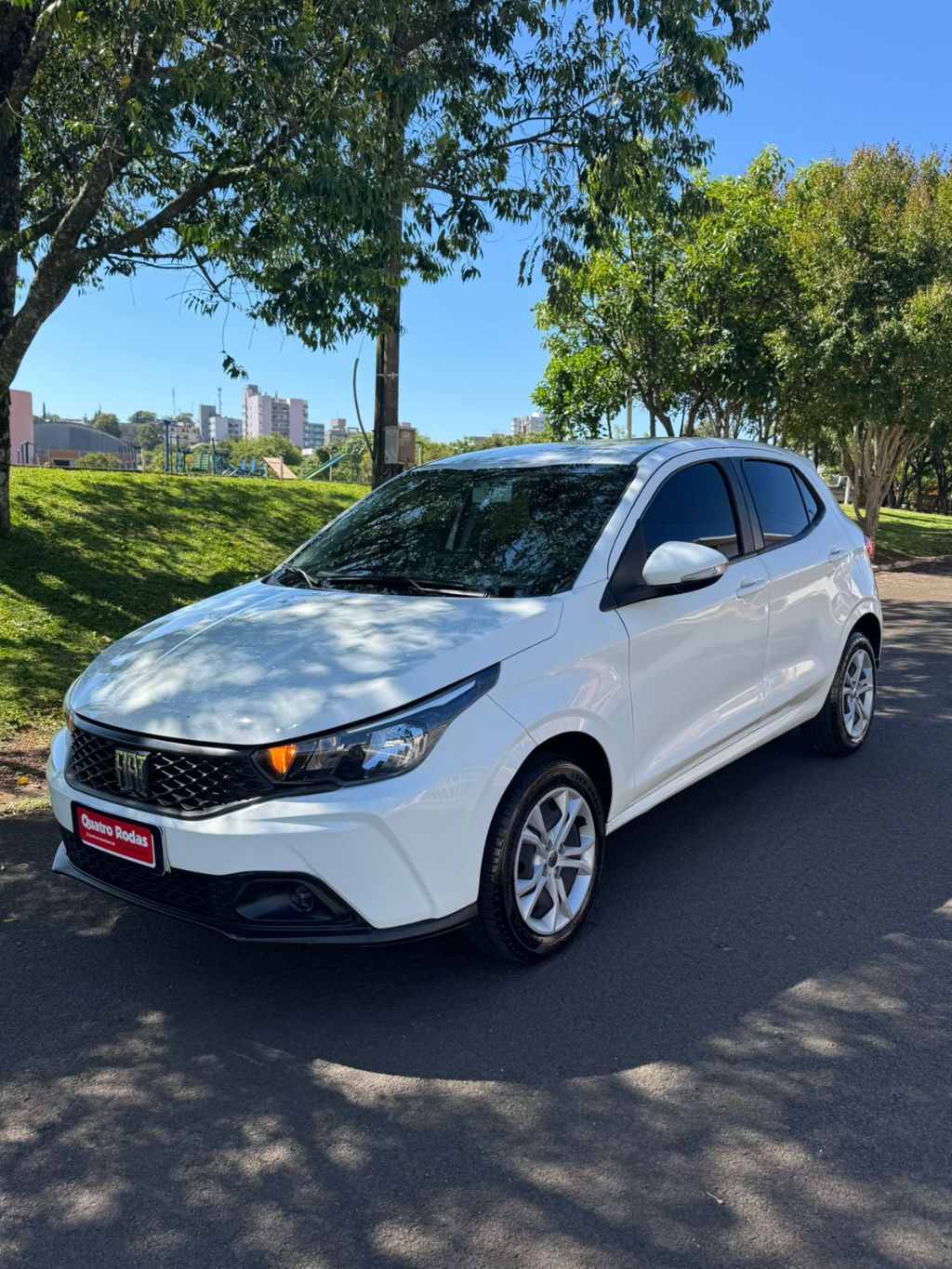 ARGO DRIVE 1.0 6V Flex