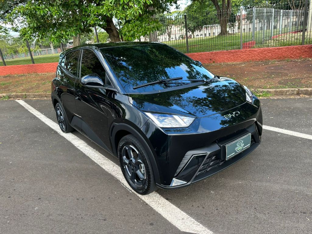 DOLPHIN MINI (ELETRICO) 