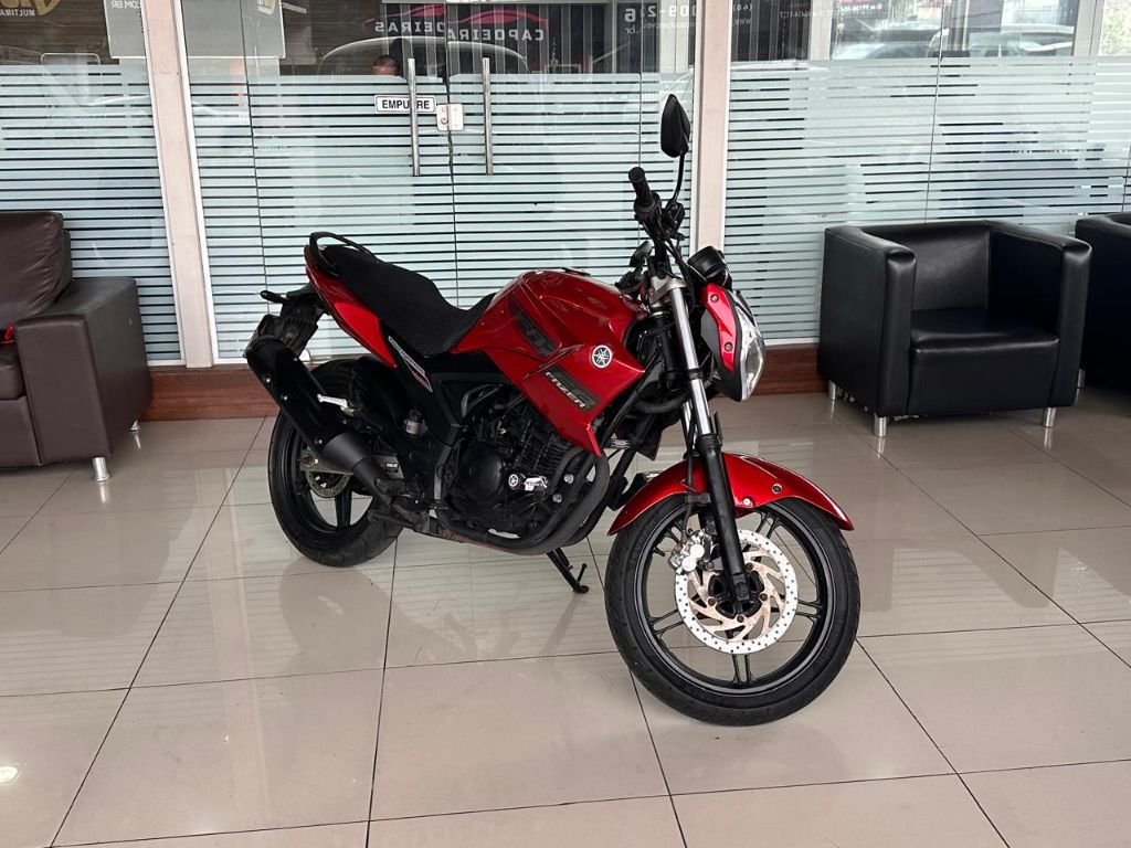 YS 250 FAZER/ FAZER L. EDITION /BLUEFLEX