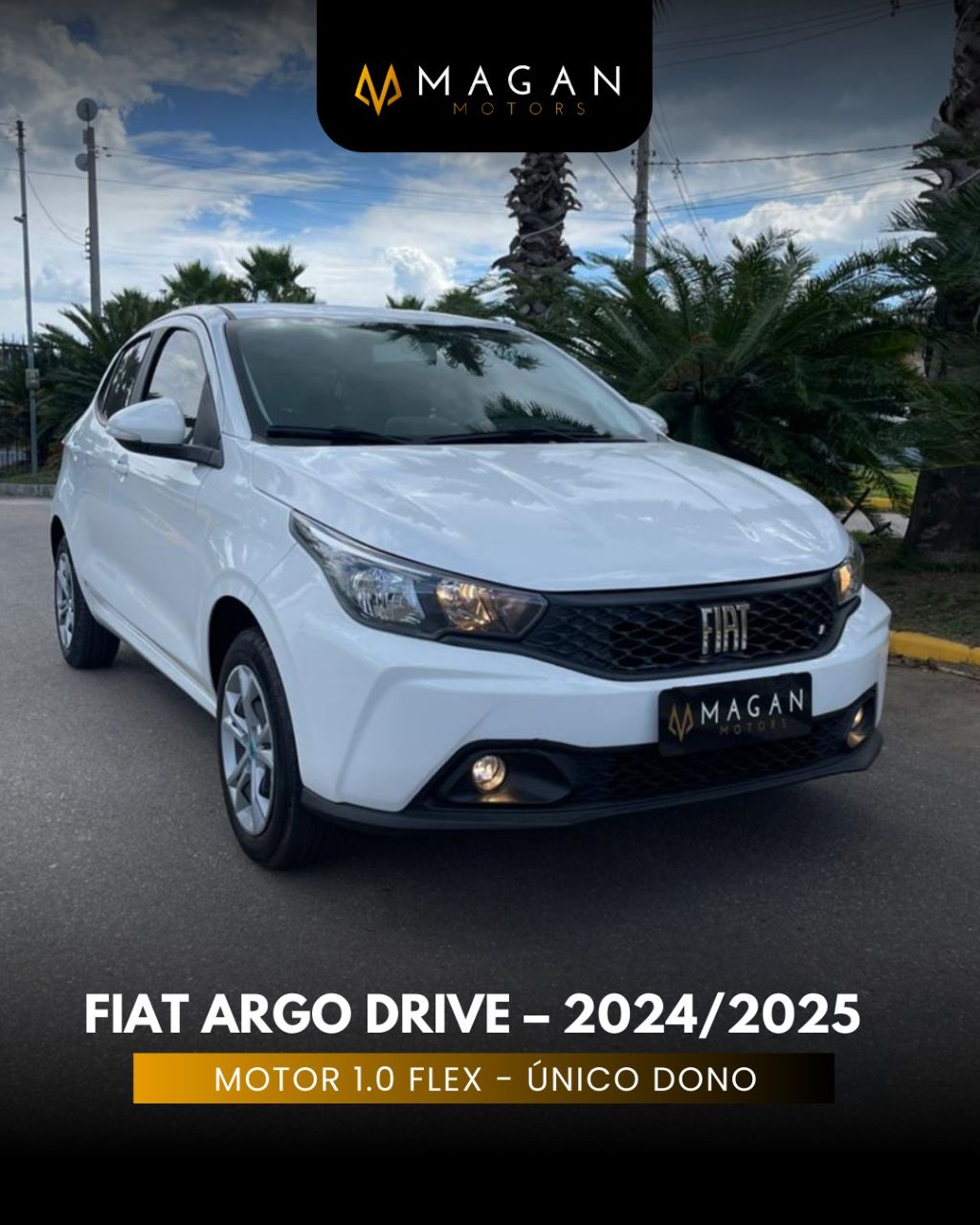 ARGO DRIVE 1.0 6V Flex