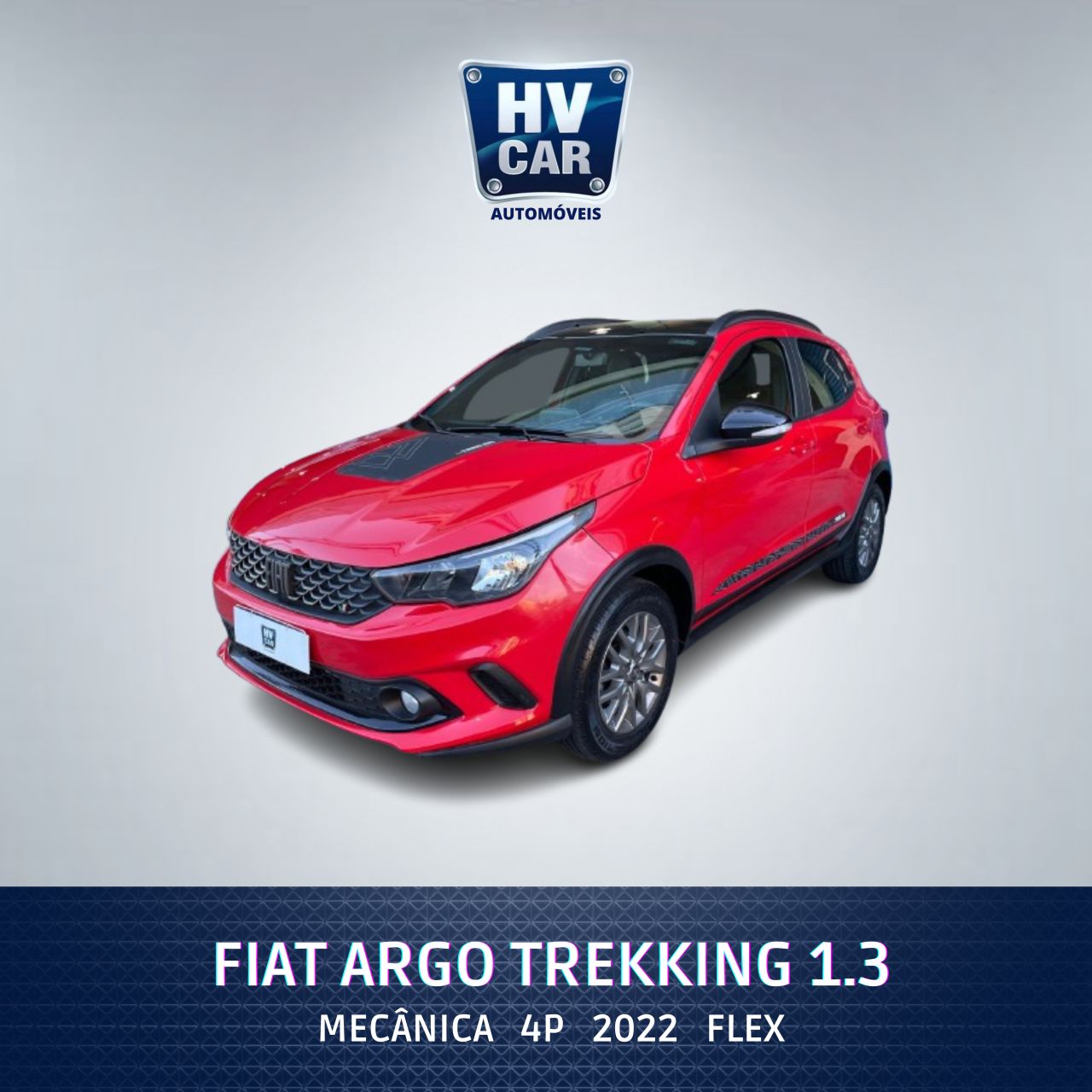 ARGO TREKKING 1.3 8V Flex