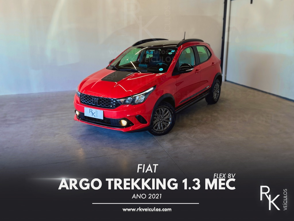 ARGO TREKKING 1.3 8V Flex
