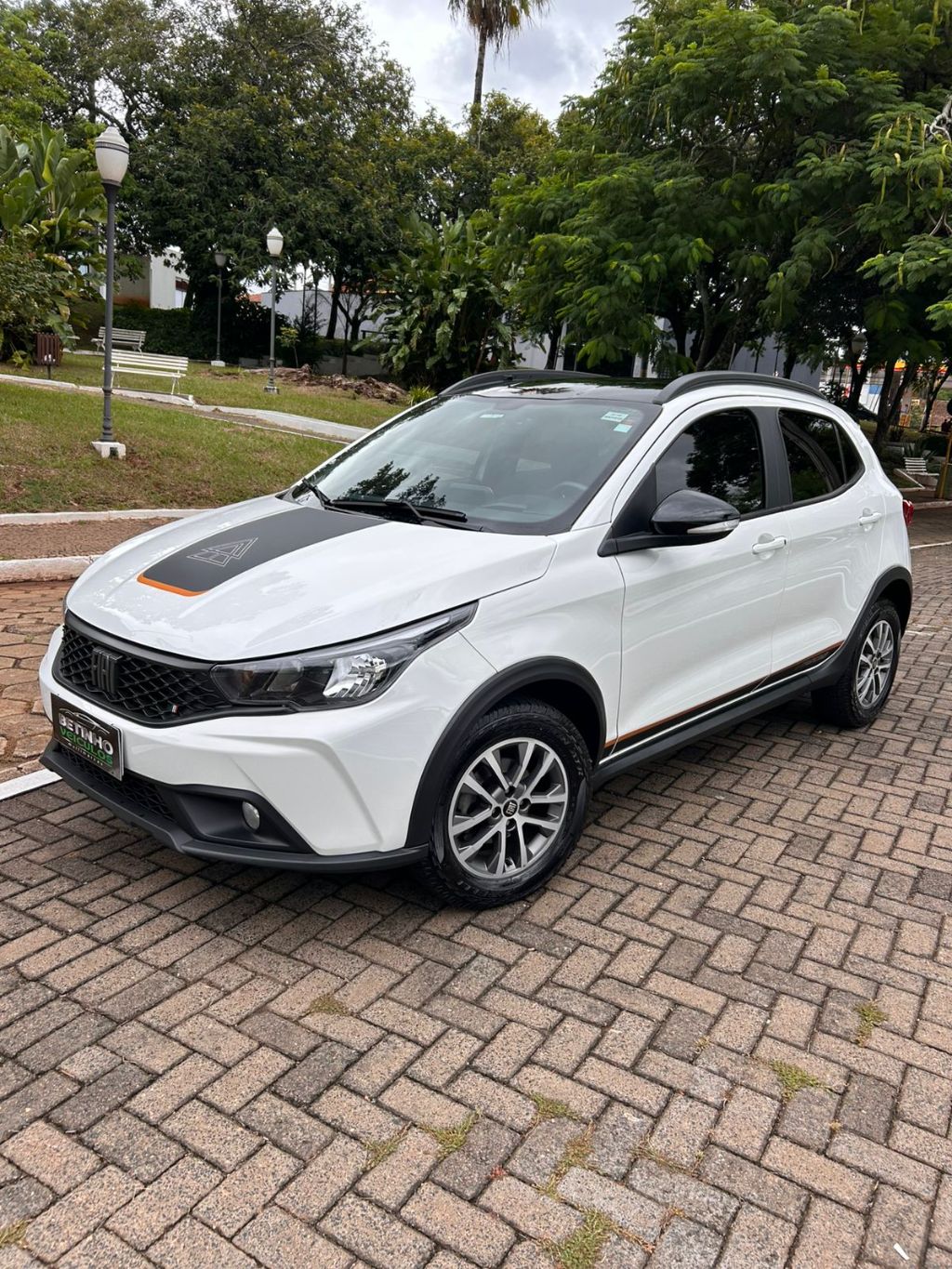 ARGO TREKKING 1.3 8V Flex Aut.