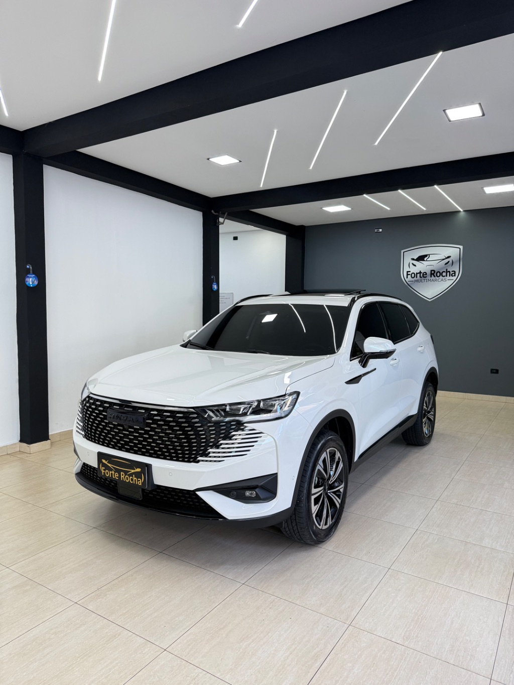 Haval H6 PHEV19 (Hibrido)