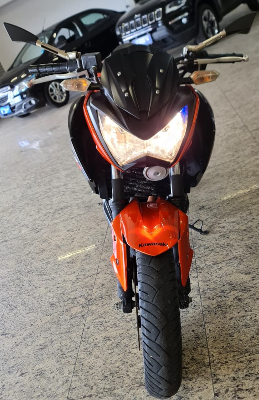Z 300