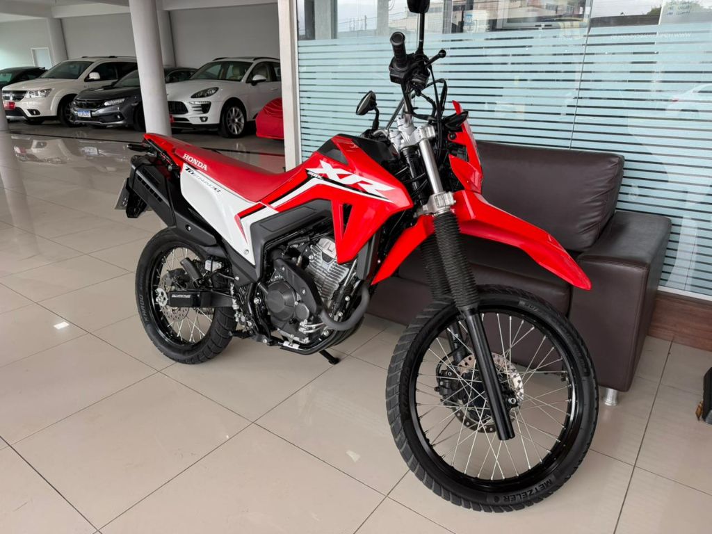 XR 300L TORNADO FLEX