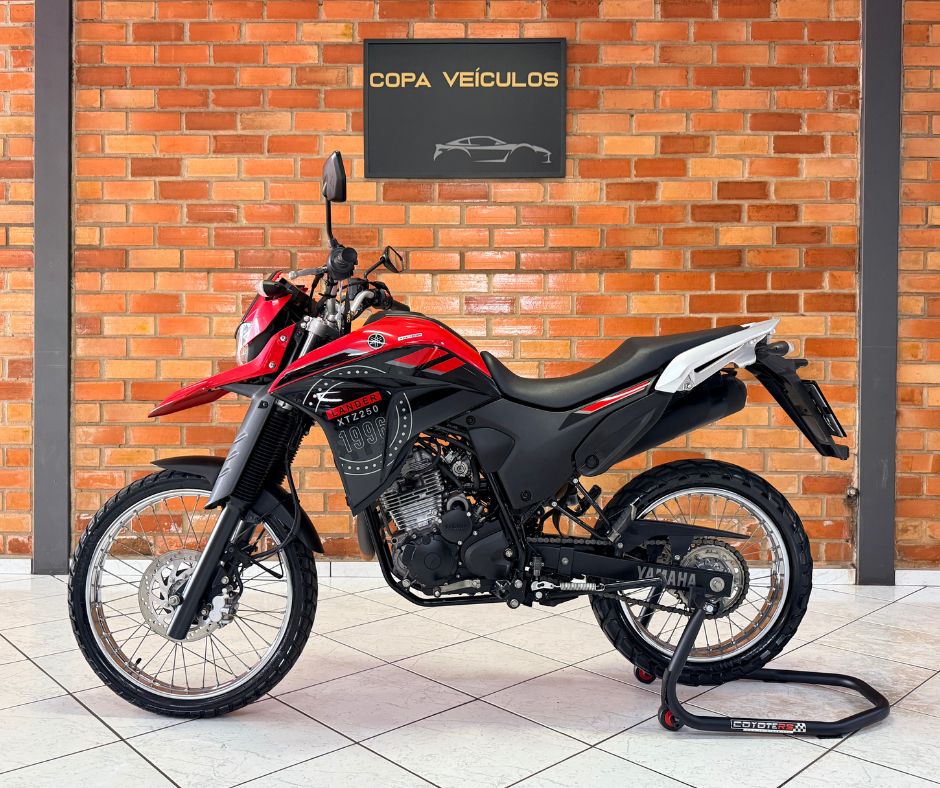 XTZ 250 LANDER 249cc/LANDER BLUEFLEX/ABS