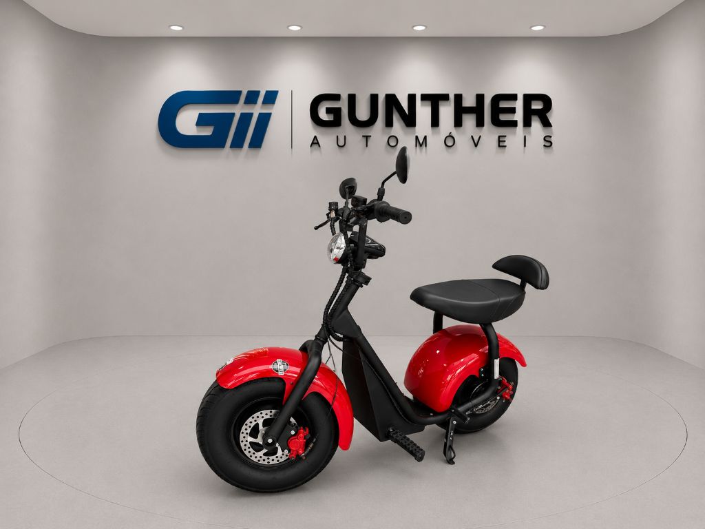 SCOOTER TUI 1000W