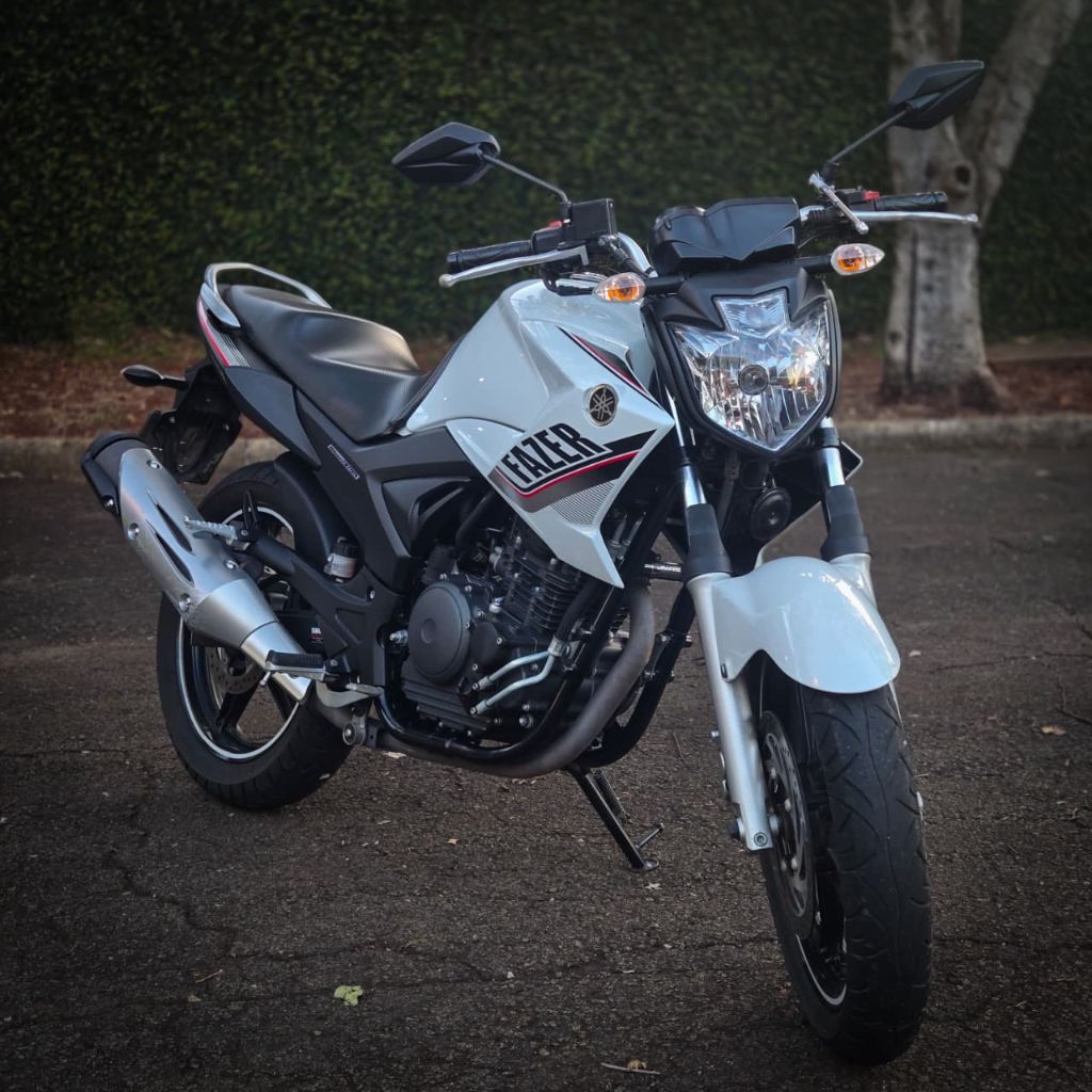 YS 250 FAZER/ FAZER L. EDITION /BLUEFLEX