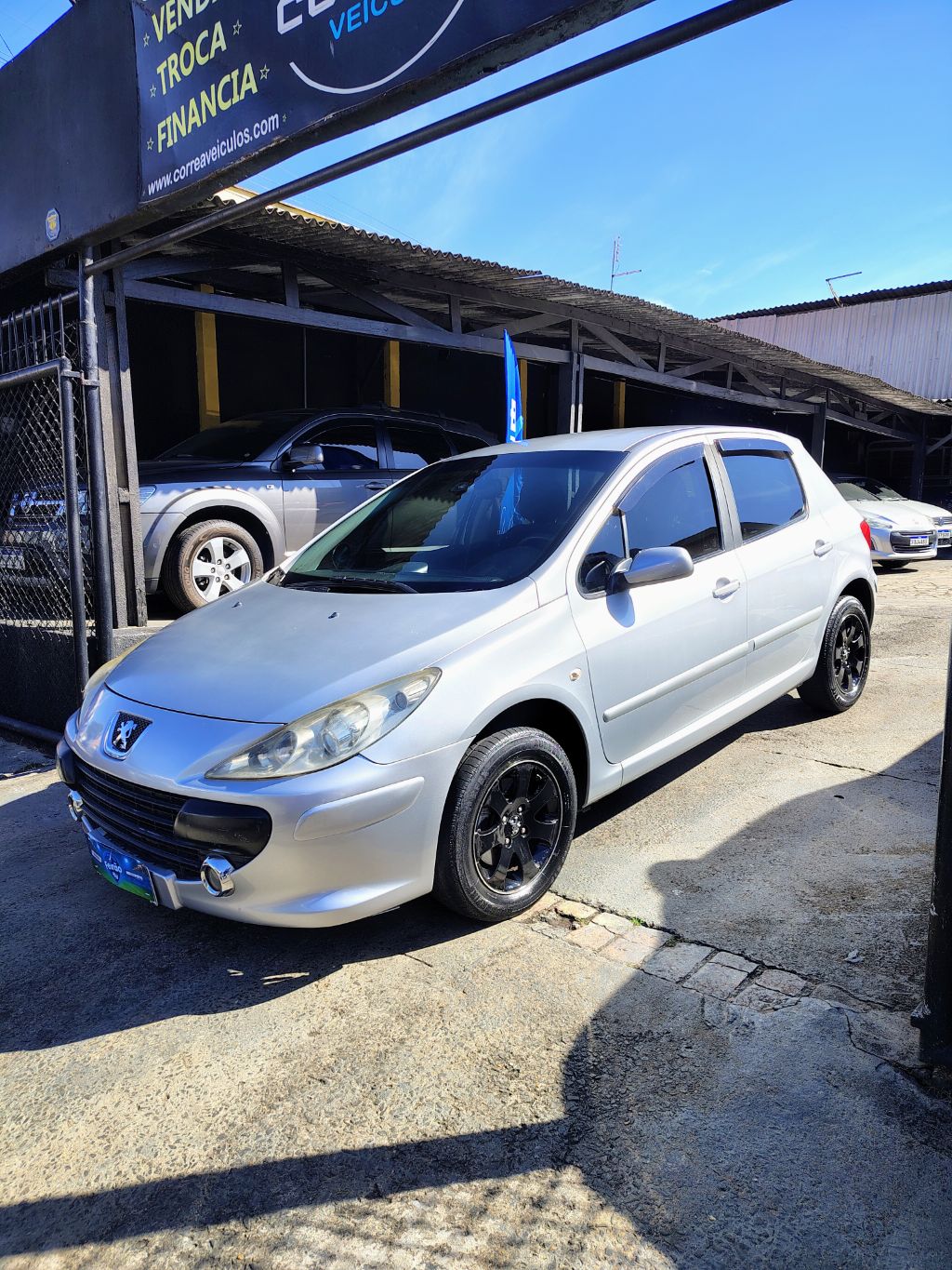 307 Feline 2.0/2.0 Flex 16V 5p Mec.