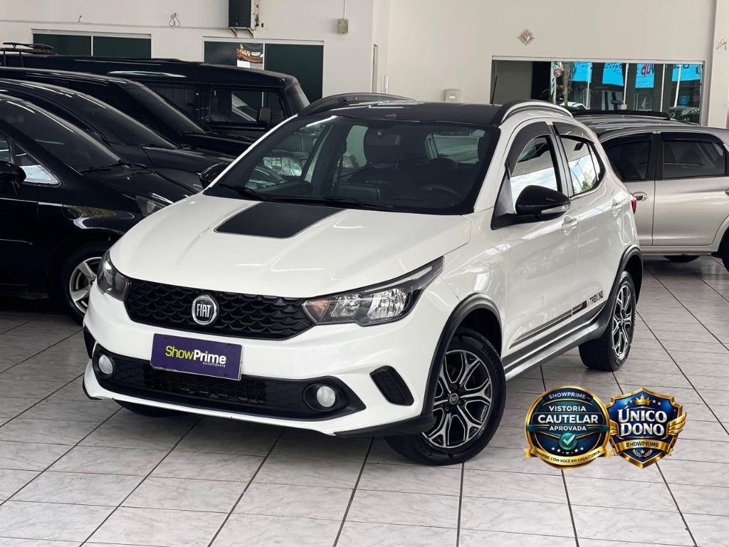 ARGO TREKKING 1.3 8V Flex