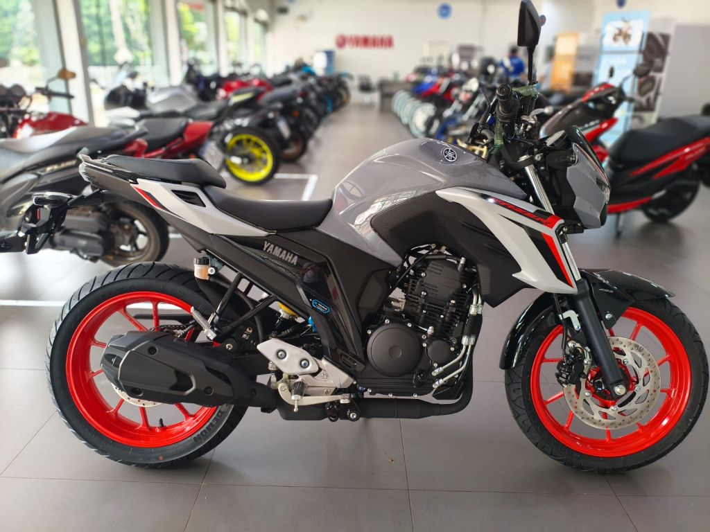 FZ250 FAZER
