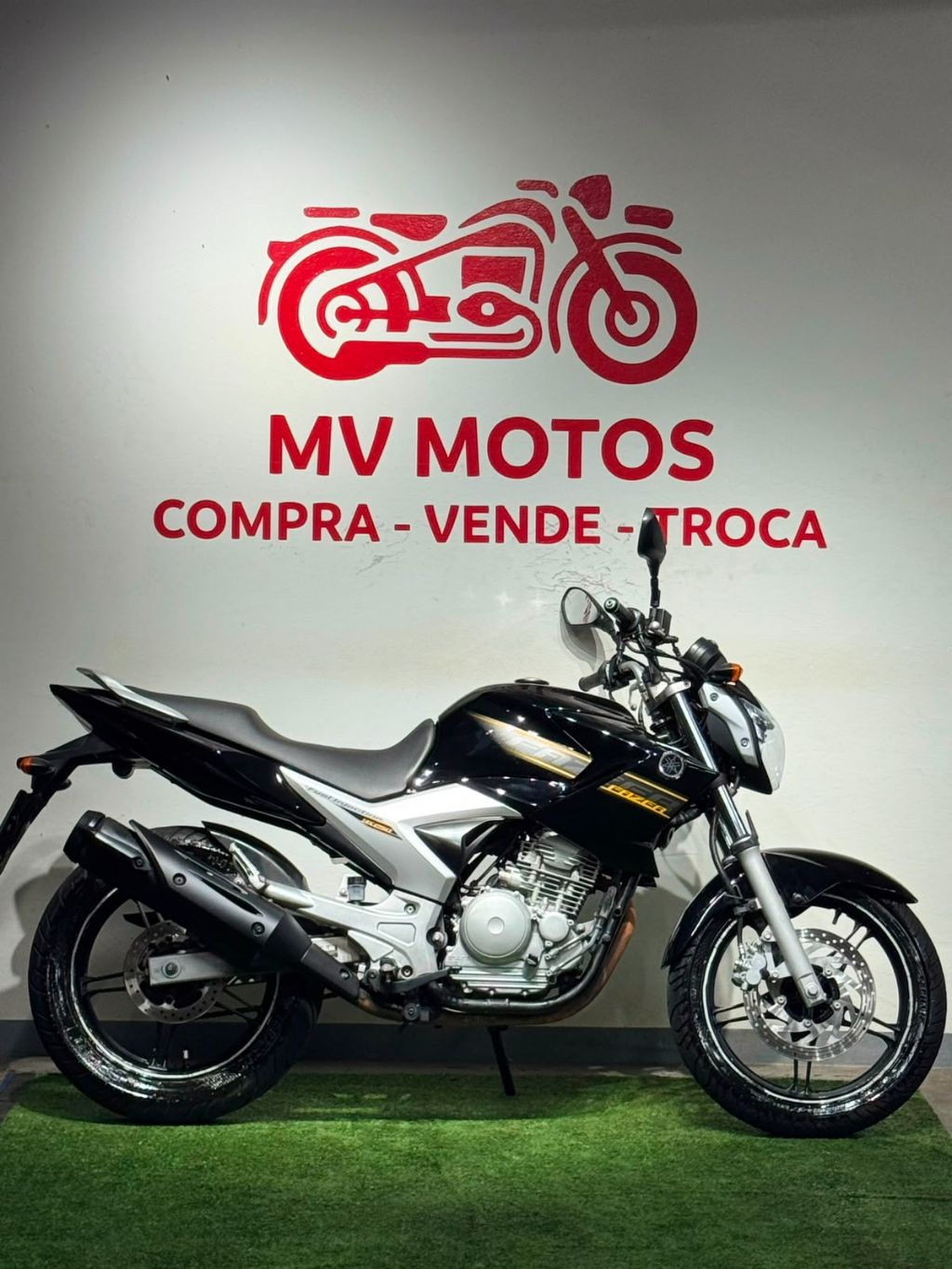 YS 250 FAZER/ FAZER L. EDITION /BLUEFLEX