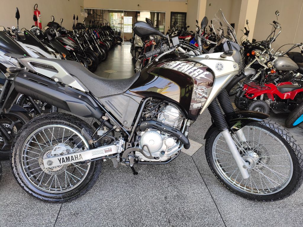 XTZ 250 TENERE/TENERE BLUEFLEX