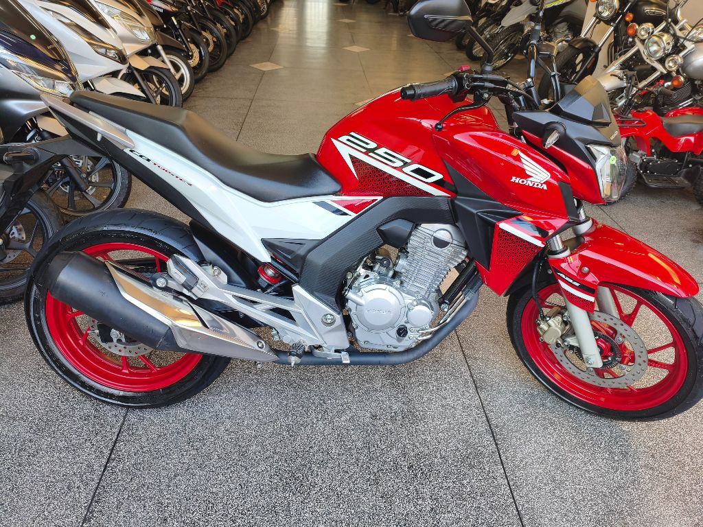 CB 250 TWISTER/FLEXONE