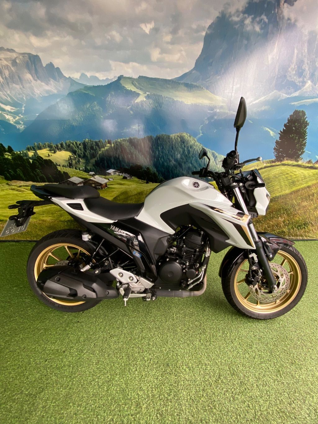 FZ25 250 FAZER CONNECTED